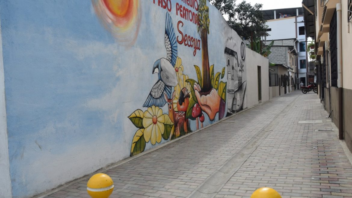 Alcalde Larry Vite inaugura mañana regeneración integral del callejón Secoya en el barrio Centenario